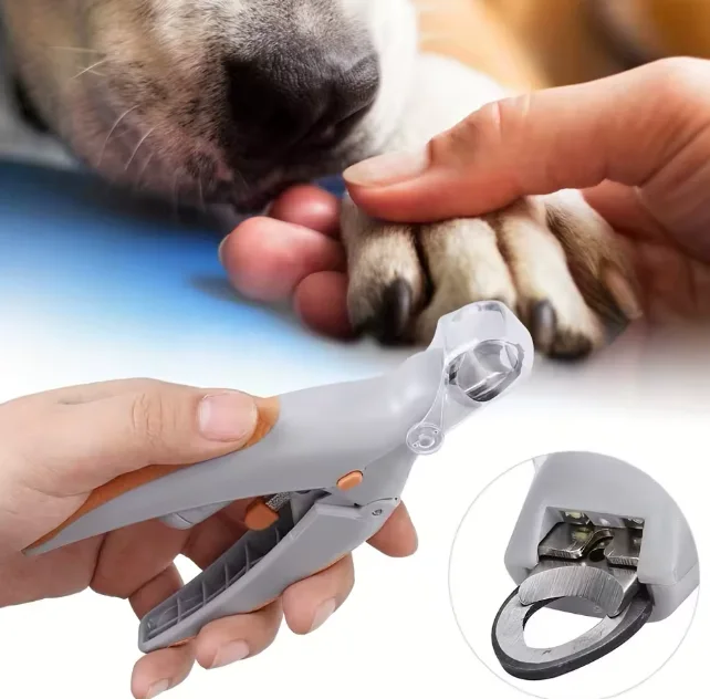 ✂️ مقص أظافر القطط والكلاب 🐶🐱