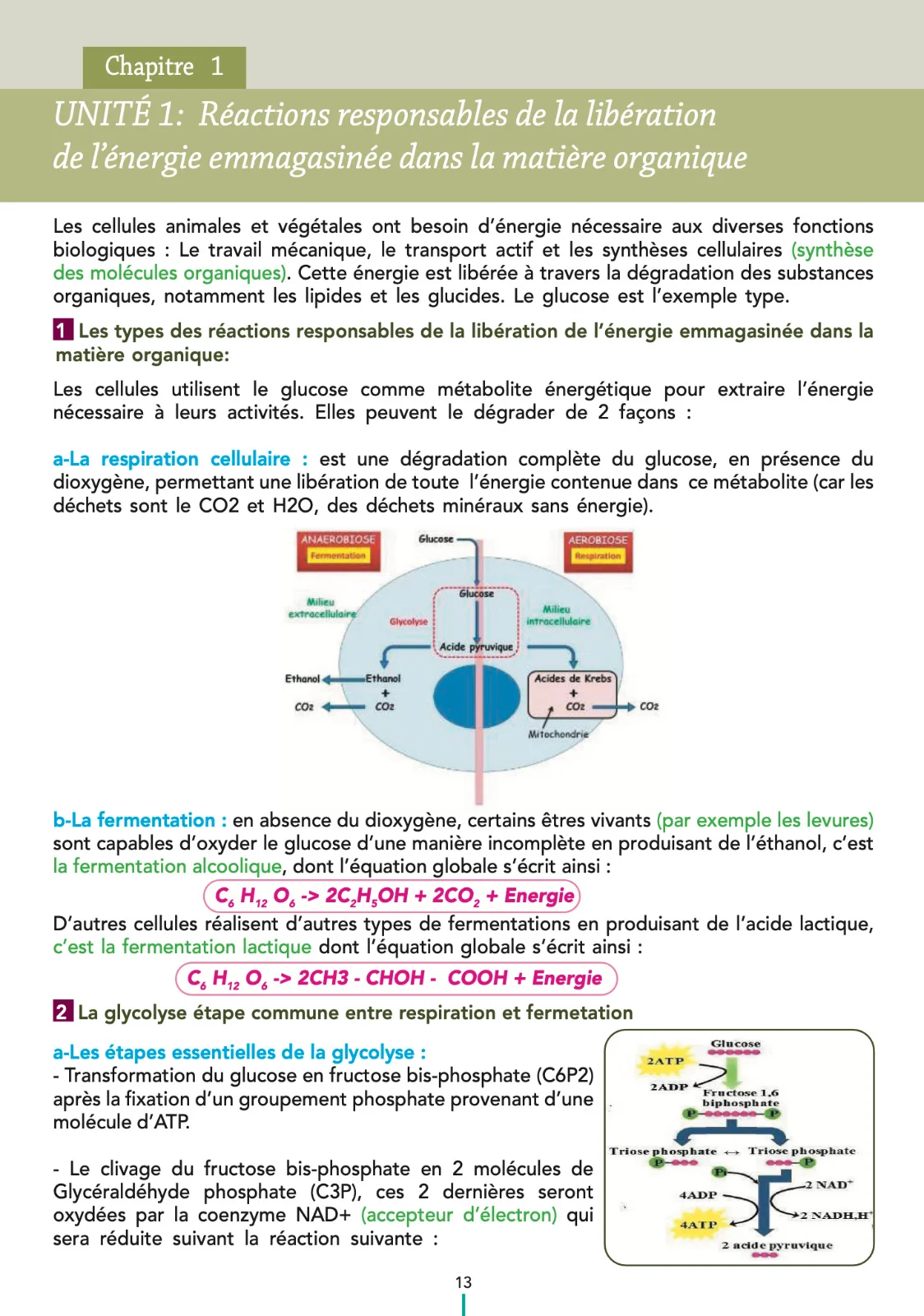 PACK ELITE MÉDECINE — ULTIME PRÉPA