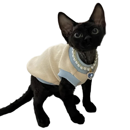 Cat Jewellery Collar