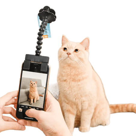 Cat Selfie Stick