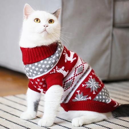 Pullover Winter for cats and dogs