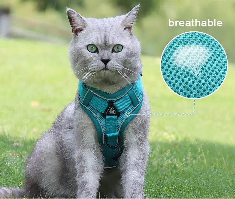 Cat Harness Vest