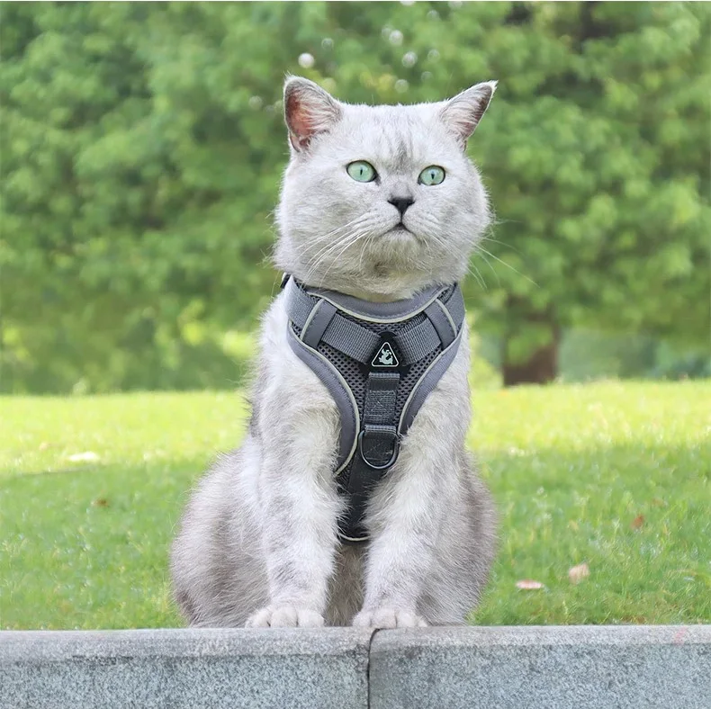 Cat Harness Vest