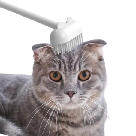 Purr Spot Brush