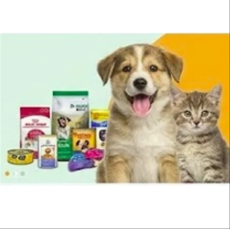 Business card plan for an online pet supplies store