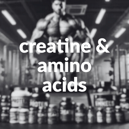 Creatine & Amino Acids