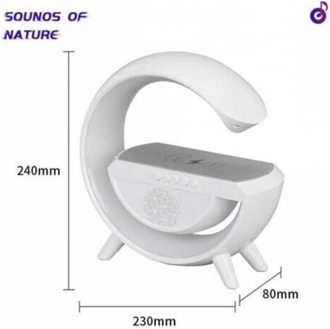 Haut-parleur مكبر صوت بلوتوث