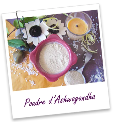 Plante ayurvédique Ashwagandha BIO (poudre) - 100 G