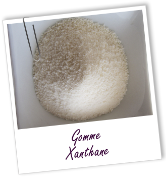 Gomme Xanthane 100g