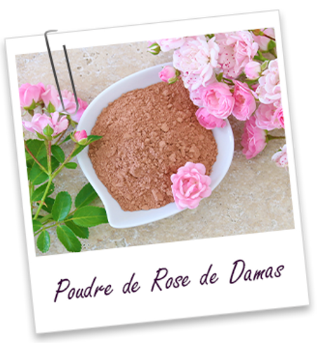 Plante ayurvédique Rose de Damas (poudre) - 100 G