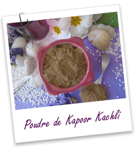 Plante ayurvédique Kapoor Kachli (poudre) - 100 G