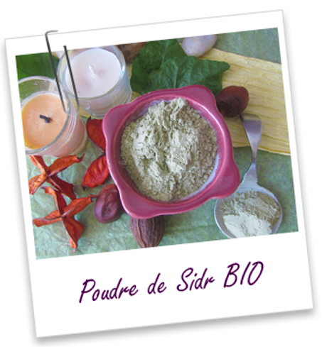 Plante ayurvédique Sidr BIO (poudre) - 250 G