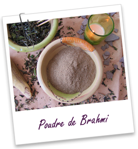 Plante ayurvédique Brahmi (poudre) - 250 G