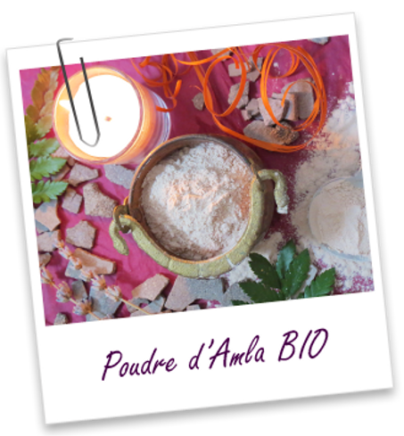 Plante ayurvédique Amla BIO (poudre) - 250 G