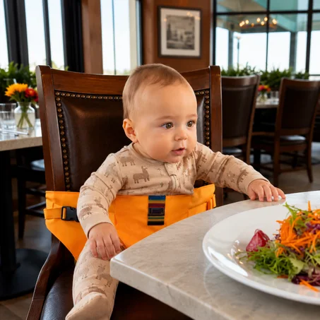 BabySafep