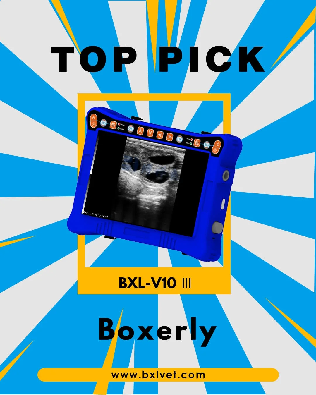 جهاز الموجات فوق الصوتية البيطري Boxerly BXL-V10 III | كشف الحمل للحيوانات