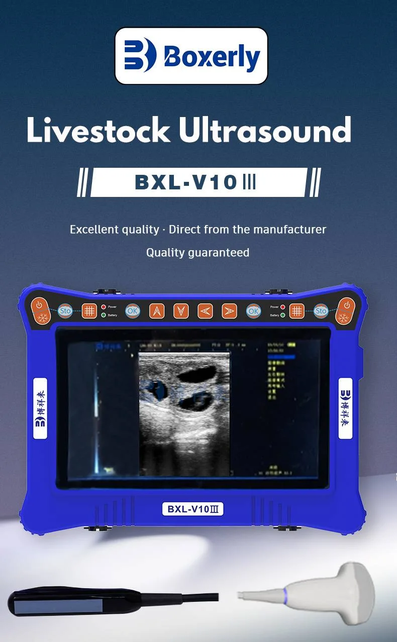 جهاز الموجات فوق الصوتية البيطري Boxerly BXL-V10 III | كشف الحمل للحيوانات