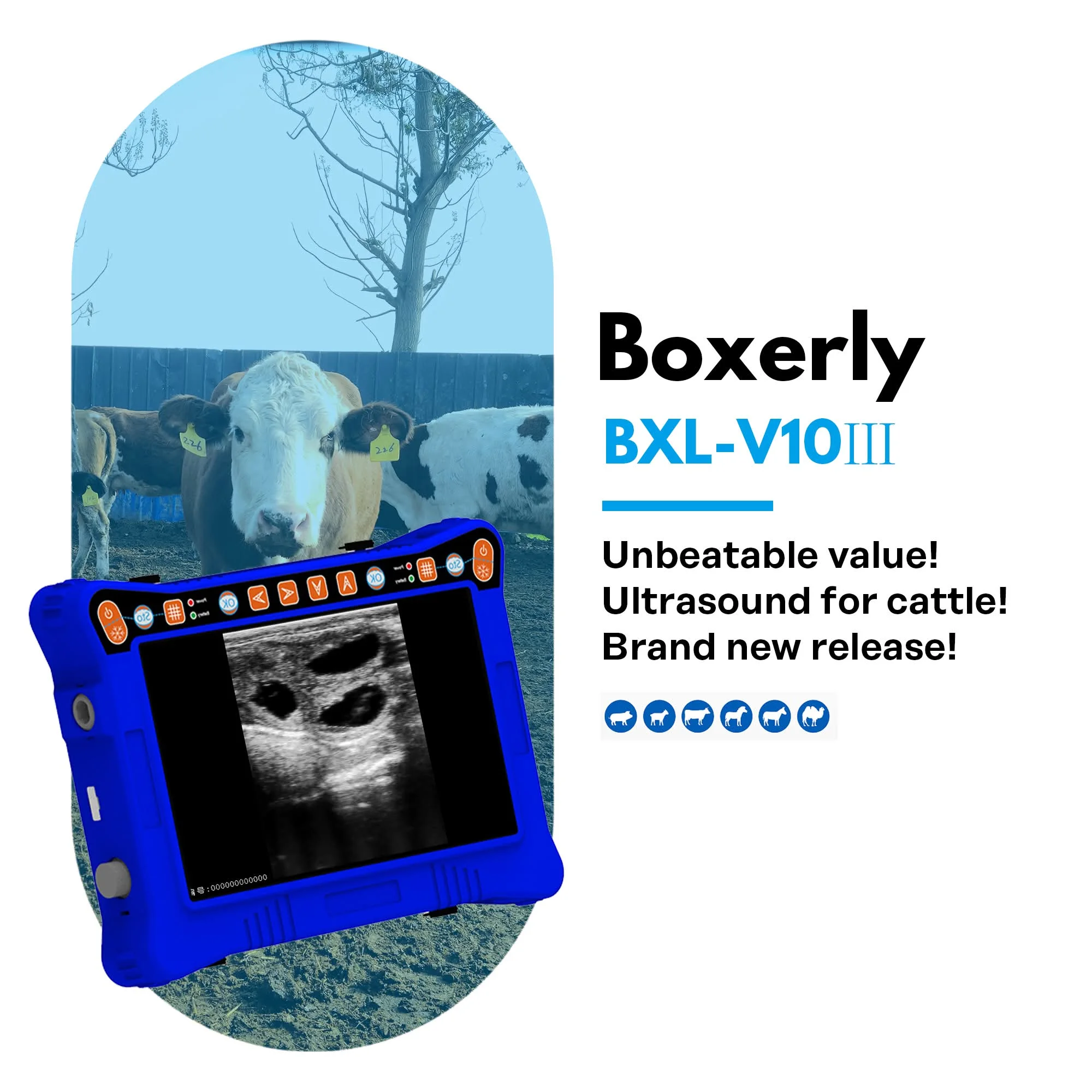 جهاز الموجات فوق الصوتية البيطري Boxerly BXL-V10 III | كشف الحمل للحيوانات