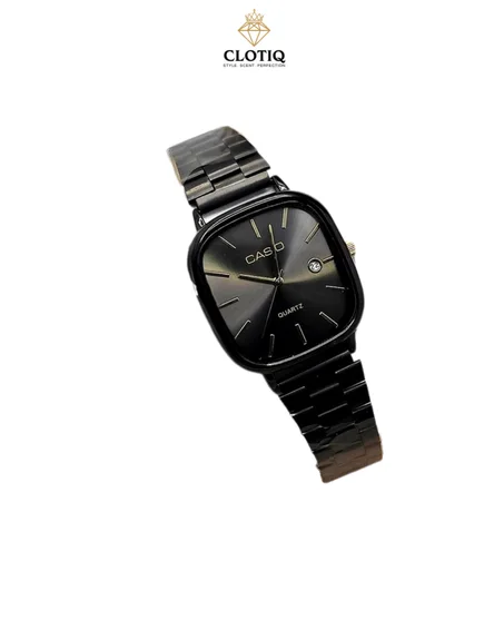 Casio Stainless Steel