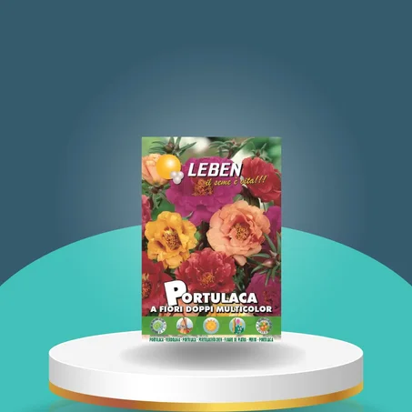 🌸 ازرع سحراً في حديقتك مع بذور الزهور الفاخرة! 🌸