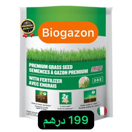 بذور العشب الطبيعي