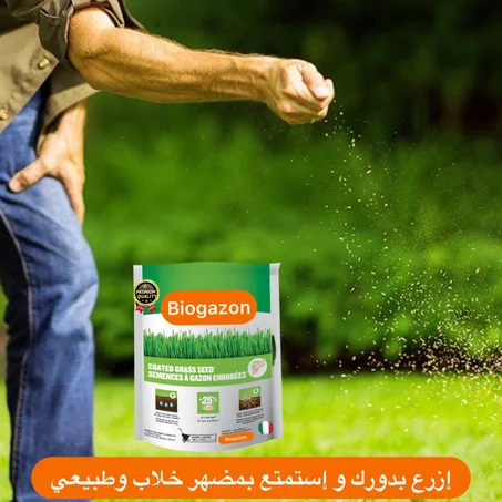 بذور العشب الطبيعي