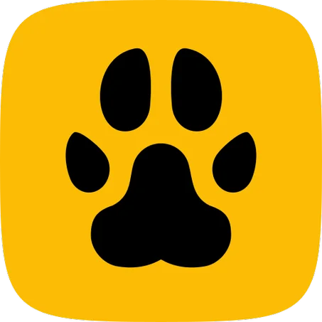 الحيوانات والأدوات