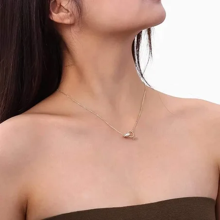 Collier ring chook en acier inoxydable