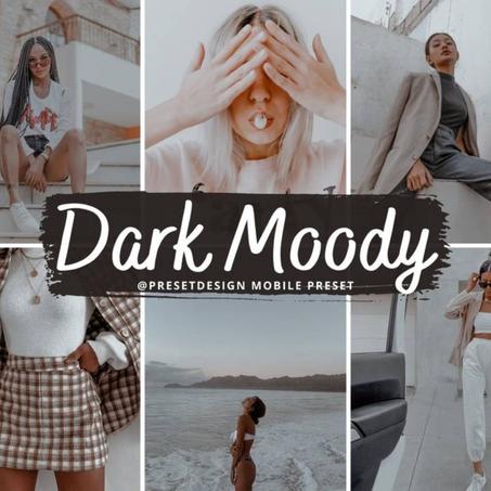 6 Dark Moody presets, Blogger Presets, Lightroom mobile presets, lightroom desktop presets, bright presets, Instagram LR preset, dark preset