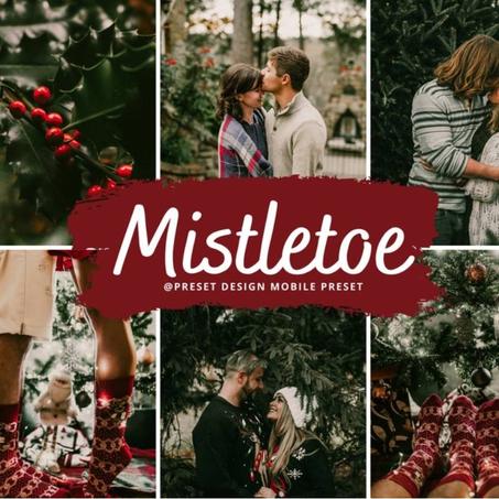 10 Mobile Lightroom Presets, MISTLETOE Christmas Presets for Blogger, Instagram Filter, Rustic Moody Winter Preset, Warm Xmas Photo Filter