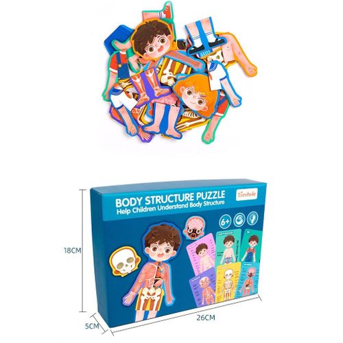Body Structure Puzzle Garçon