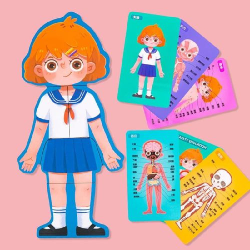 Body Structure Puzzle Fille