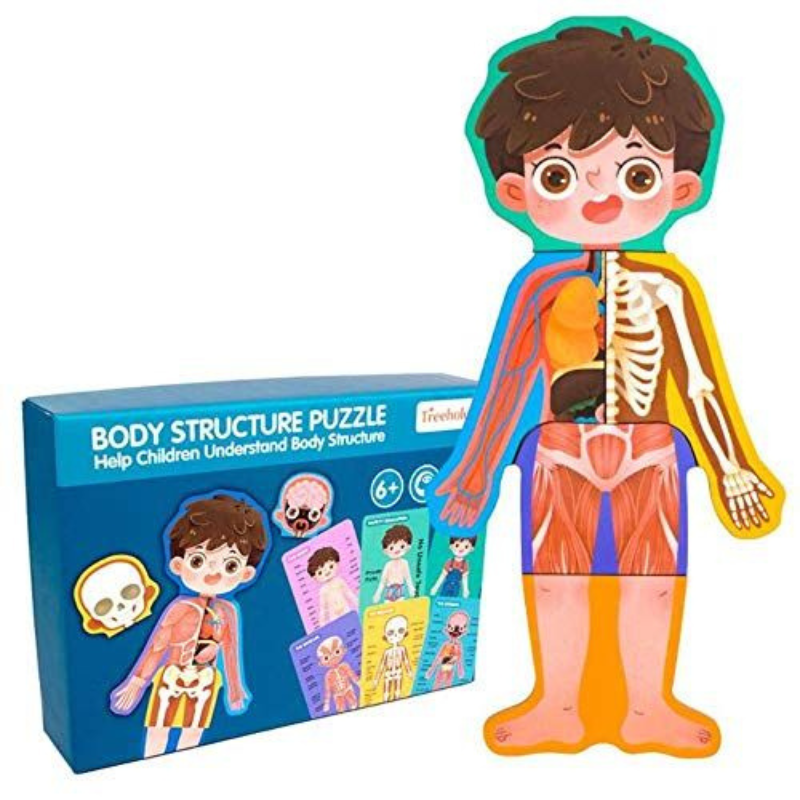 Body Structure Puzzle Garçon
