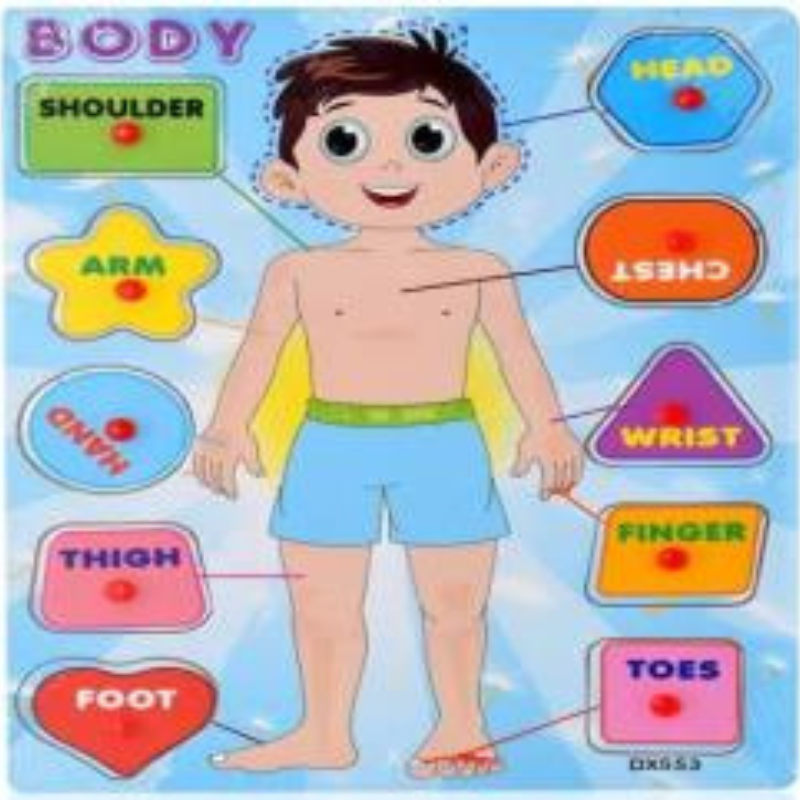 Puzzle visage et corps fille/Garcon en francais et anglais