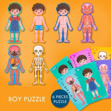 Body Structure Puzzle Garçon