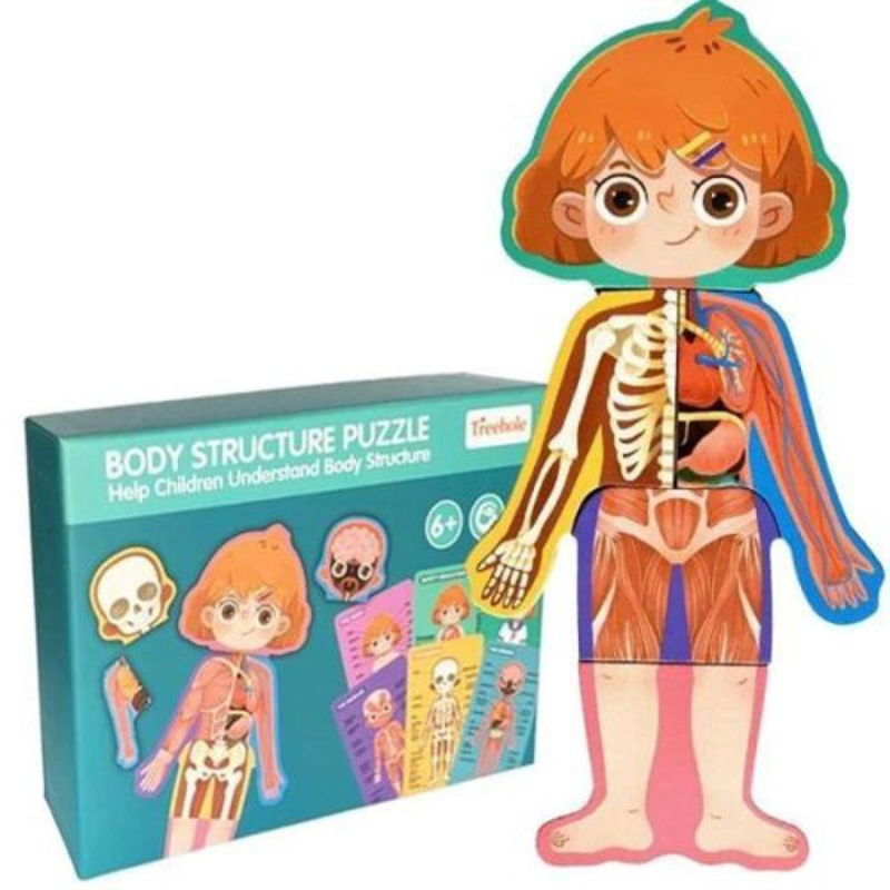 Body Structure Puzzle Fille