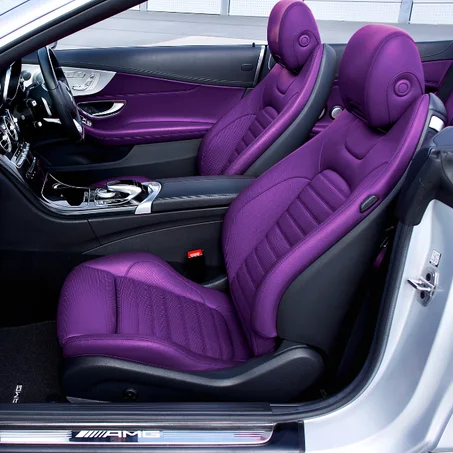 داخل السيارة