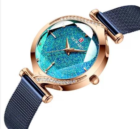 Reward RD22018L Women's Luxury Mesh Quartz Watch