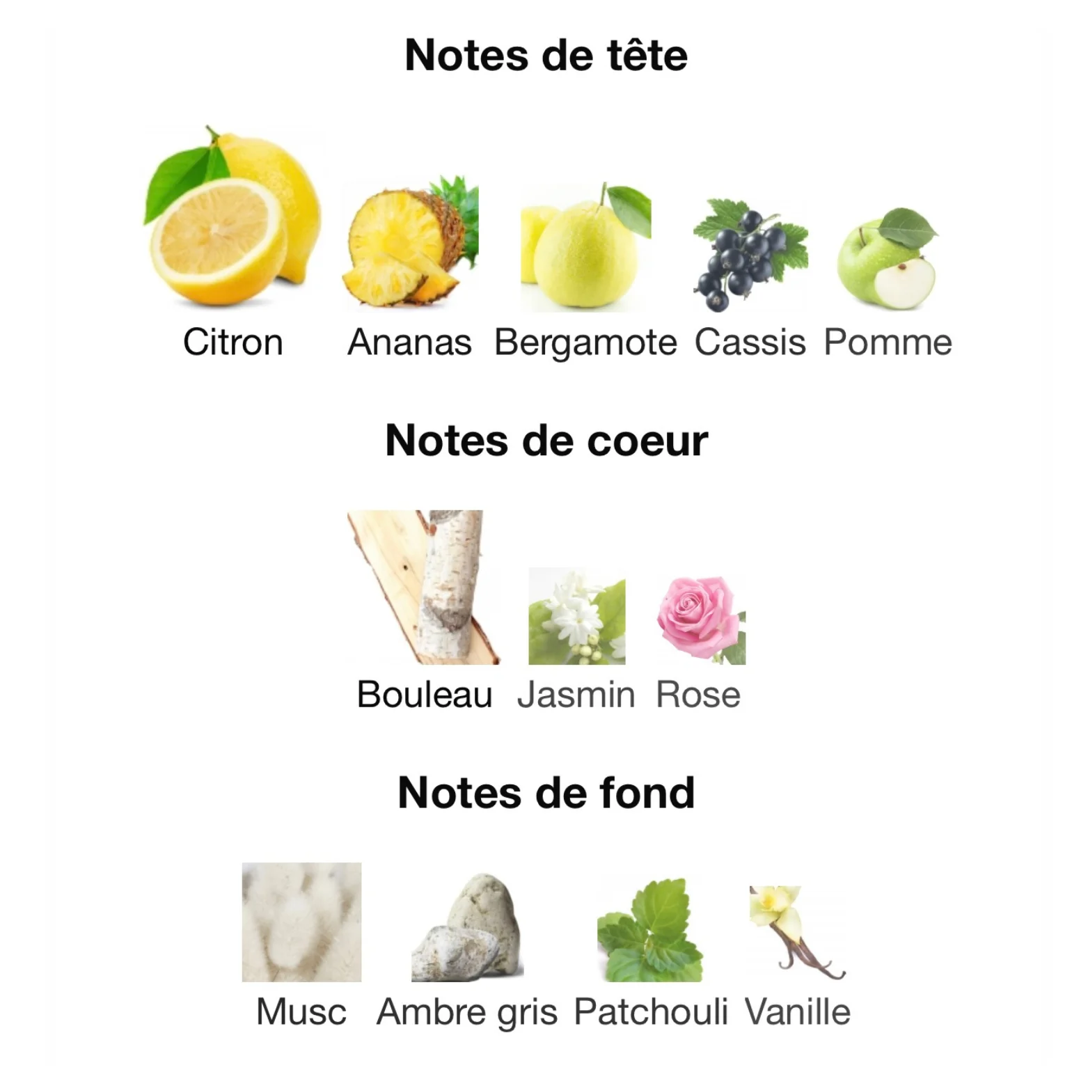 Club de Nuit Intense Man