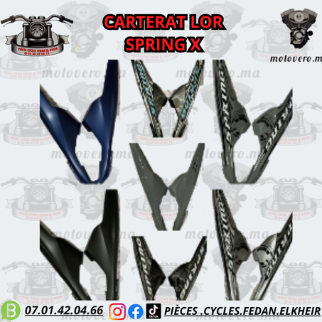 Carterat arriere BECANE SPRING X كارطيرات اللور بيكان