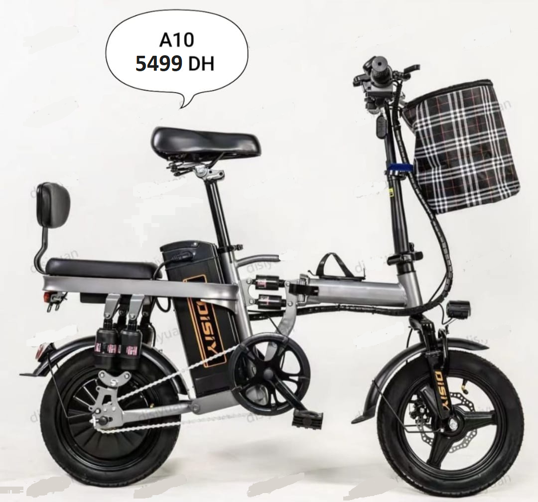 Vélo Électrique A10 Pro 48V