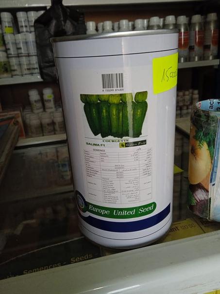 Courgette SALIMA F1