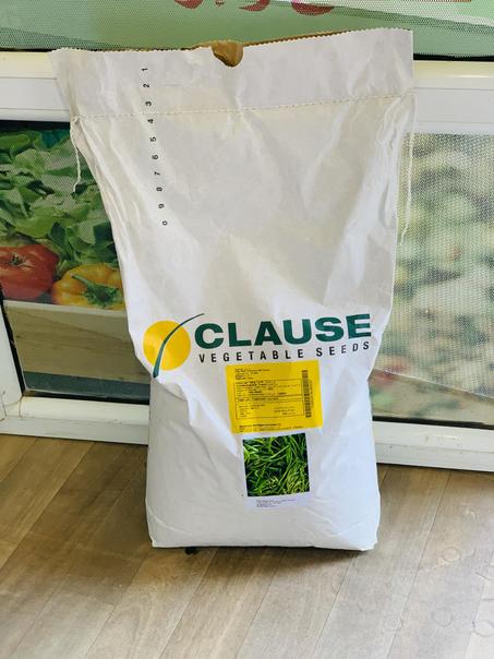 Haricot CLAUSE Colter