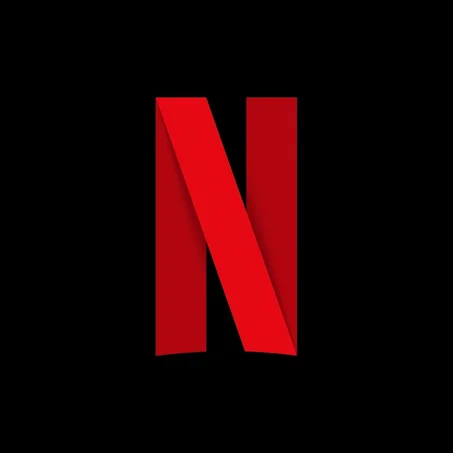 NETFLIX 4K 1 PROFILE 1 YEAR