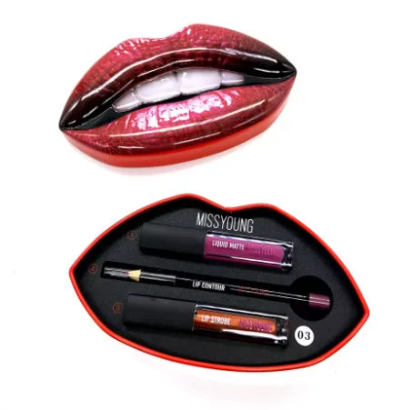 طقم أقلام تحديد الشفاه وملمع الشفاه العصري.
