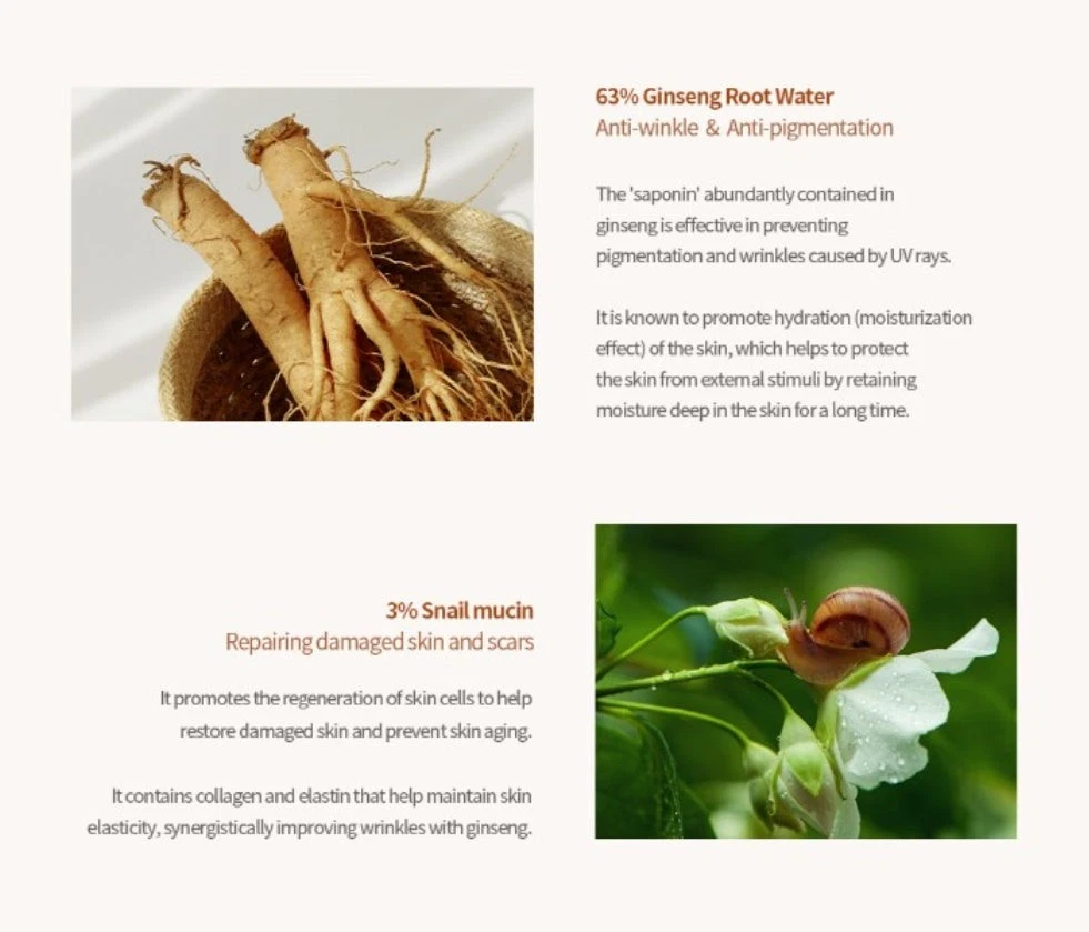 Beauty Of Joseon Refuge Ginseng Snail