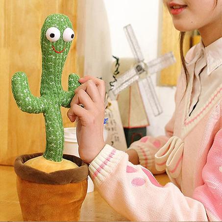 الصبارة الراقصة🌵