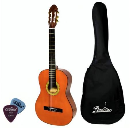 Guitare Acoustique Folk