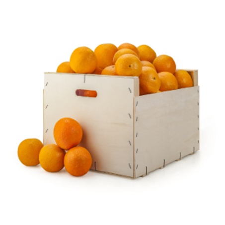 بسعر الجملة