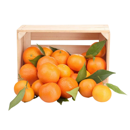 5 كيلو ماندرين